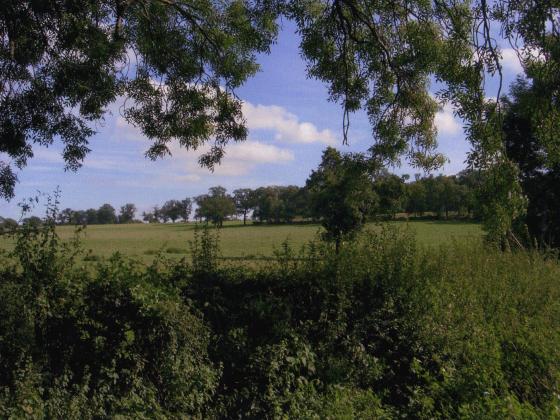 Site 224 Looking from the Bridle Road over Dye House Close to Site 222 Thomas Babingtons Carriageway. October 2005