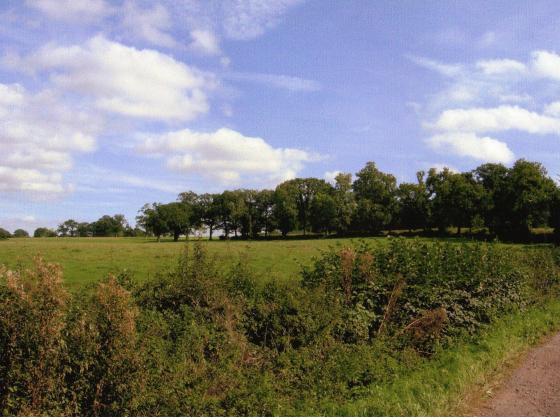 Site 224 Looking over Dye House Close from the Bridle Road to Site 222 Thomas Babingtons Carriageway. October 2005