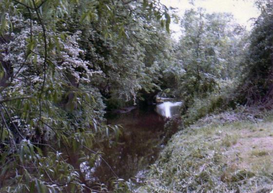 Site 228 An old stone bridge over Rothley Brook from Green Close to Brookfield Farm. Demolished around 1979 to build a flood bank. Photo by Bob Lovatt, Town Green Street.