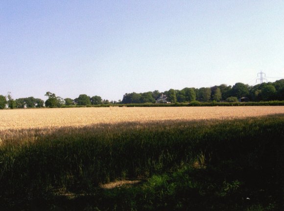 Site 233 Looking to Kinchley House with Kinchley Lane to the left. July 2006