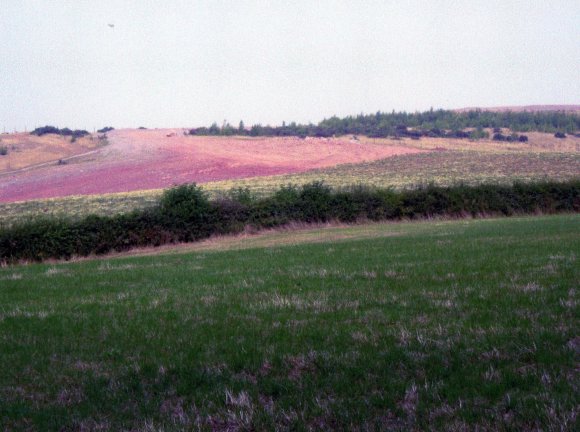 Site 247 Southern Mound from Site 244 Kinchley Lane Field (5). July 2006