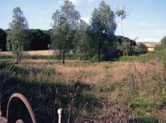 Site 248 Looking from Kinchley Lane opposite Swithland Reservoir. July 2006