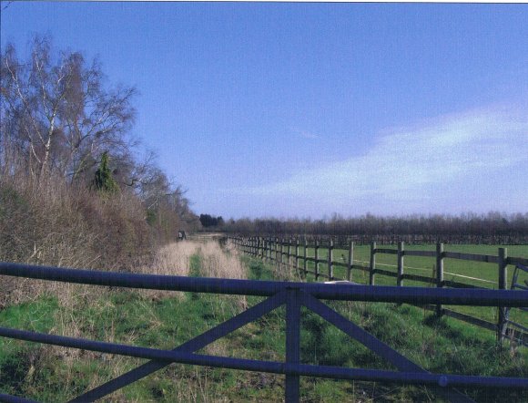 Entrance to Site 273 Calico and Woollen Field with Site 274 Plain Close to the right. March 2007