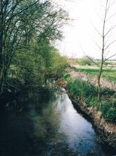 Rothley Brook from The Grange and Playing Field. April 2002