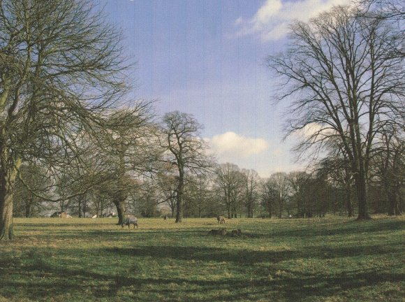 Looking over the park with Town Green Street back left. February 2005