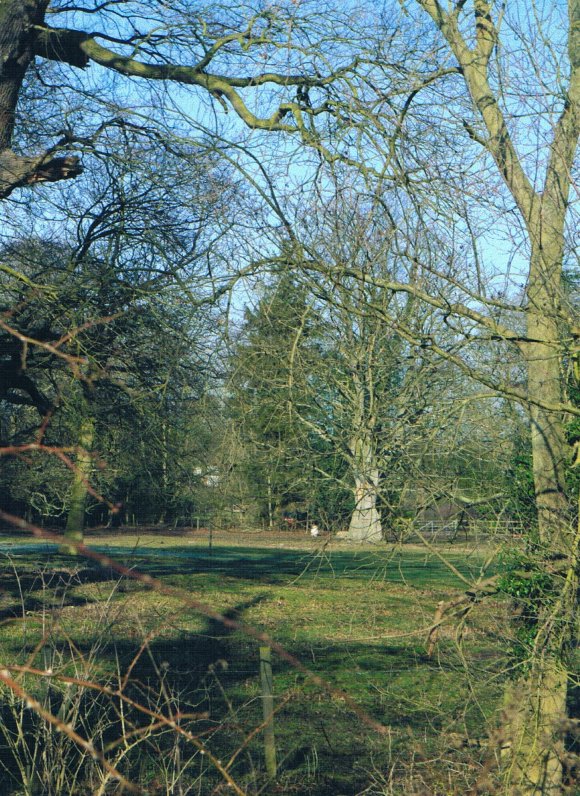 Site 112 Temple Paddock from Site 256 Temple Meadow. February 2012